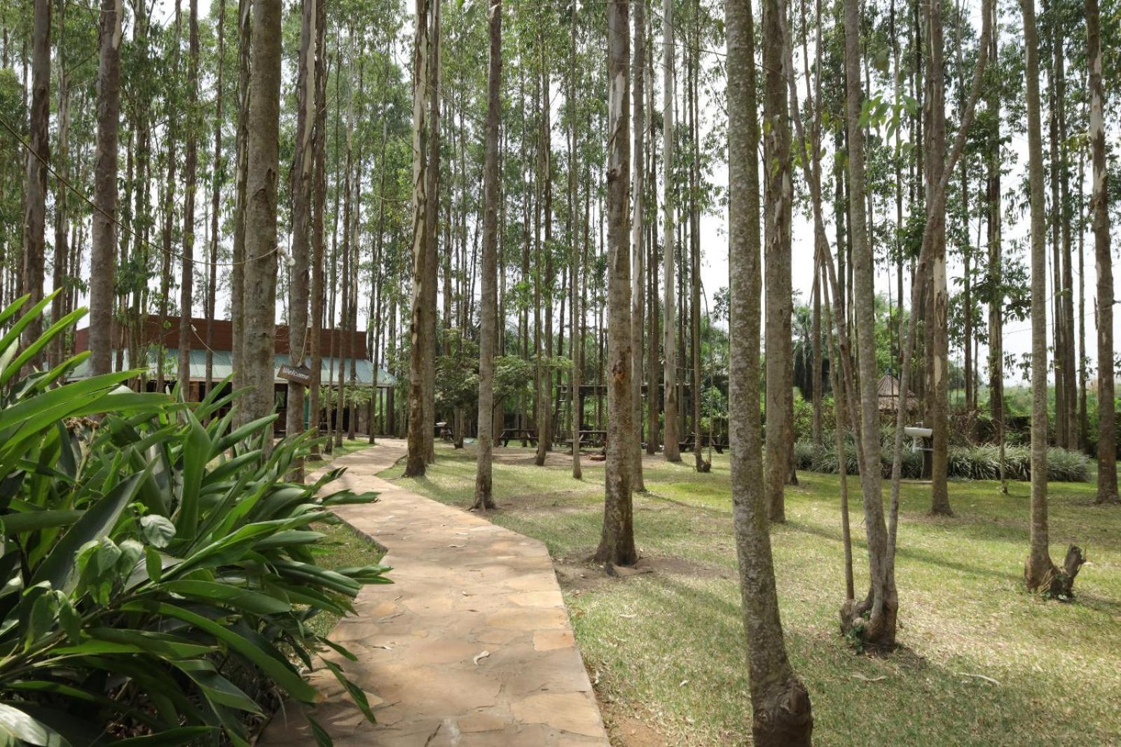 Kabalega Resort - Masindi Zewnętrze zdjęcie
